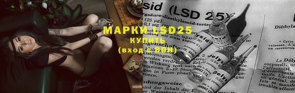 PSILOCYBIN Белая Холуница